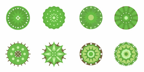 Collection of eight stylized green cactus tops viewed from above in a flat design style © Rahul