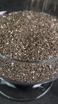 Vertical video chia seeds pouring into a glass bowl. Seed of Salvia hispanica, mint family, hygroscopic