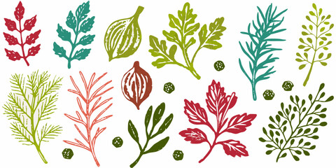 Collection of hand drawn botanical illustrations of herbs and leaves in various colors