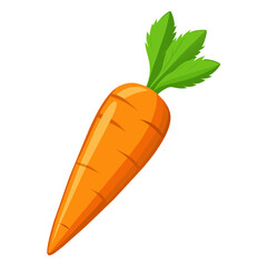carrot vector illustration