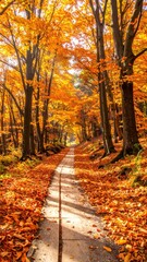 Obraz premium Serene Autumn Pathway with Vibrant Orange and Yellow Foliage