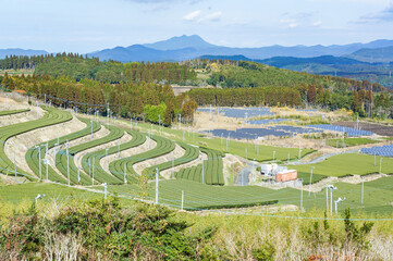 鹿児島県知覧の山あいに広がる曲線美の知覧茶畑
