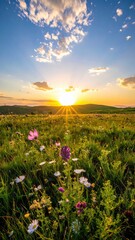 Fototapeta premium Vibrant Wildflowers Under a Golden Sunset in a Lush Meadow