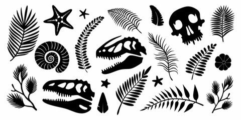 Collection of black silhouette dinosaur skulls prehistoric plants starfish and ammonite fossil on white background © Rathin
