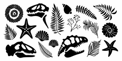 Collection of black silhouette illustrations of dinosaur skulls seashells starfish and fern leaves on a white background © Rathin