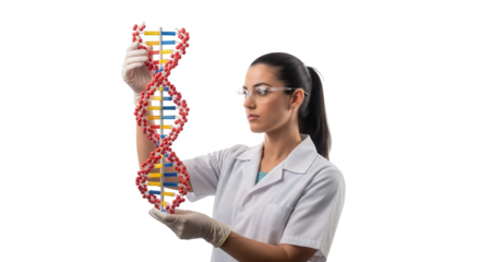 Woman in lab coat and gloves holding a dna model, isolated on transparent background