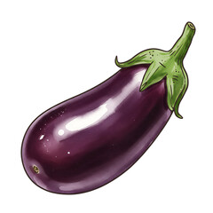 A single ripe purple eggplant with a green stem isolated on transparent background
