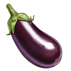 A single ripe purple eggplant with a green stem isolated on transparent background