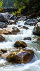 Flowing River Water Over Smooth Rocks in Lush Green Forest Scene