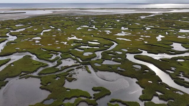 Sinuous channels meander through a scenic salt marsh on Cape Cod, Massachusetts. Salt marshes act as natural carbon sinks, are sheltered nurseries for wildlife, and buffer against storms and waves.