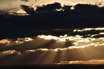 araffes are flying through the clouds in the sky