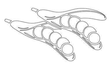 line art of peas