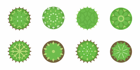 Collection of eight stylized green cactus plants viewed from above in a flat design style © Bivuti