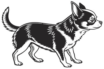 Fototapeta premium Chihuahua Dog Silhouette – Realistic Vector Illustration, Side View, Isolated on Transparent Background