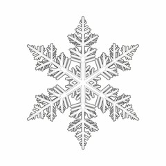 Intricate Snowflake Design with Geometric Patterns