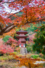 京都　浄瑠璃寺（じょうるりじ）の三重塔と紅葉