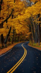 A winding road surrounded by autumn trees with golden leaves