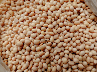Close up view of soybeans. Full frame of soy beans for background. Soybeans is used to produce soy milk, drink, oil, and soy sauce.