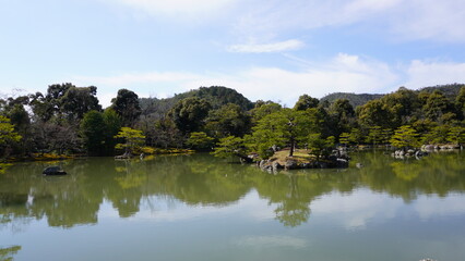 Reflections on a Serene Pond in a Traditional Japanese Garden