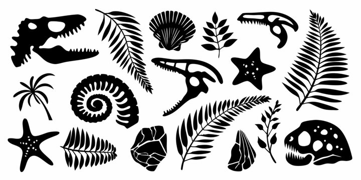 Collection of black silhouette icons representing dinosaur skulls fossils plants and shells on white background