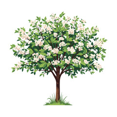 A beautifully blooming tree adorned with delicate white flowers and lush green leaves in a springtime setting
