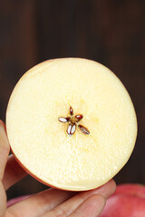 Freshly Cut Red Fuji Apple Half from Luochuan Showing White Flesh and Seeds in Hand