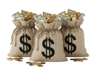 Money bags isolated on transparent background
