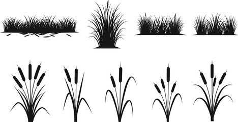 Black Silhouette Set of Reeds and Grass, Vector Nature Elements, Landscape Design, Botanical Icons, Wetland Plants, Garden Decor, Wild Vegetation, Natural Backgrounds © Creatives Sakib
