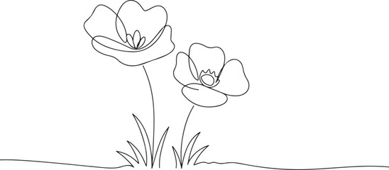 Delicate Floral Whispers: A minimalistic illustration of two elegant poppy flowers, their slender stems rising gracefully amidst simple blades of grass.
