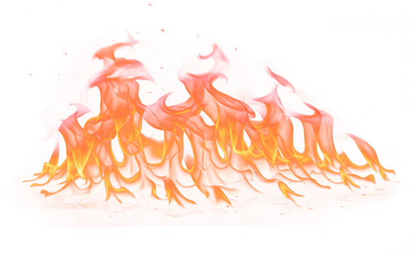 Vivid Orange and Red Flames Against a White Background.