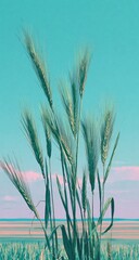 Close up of ripening wheat ears against a soft pastel sky.