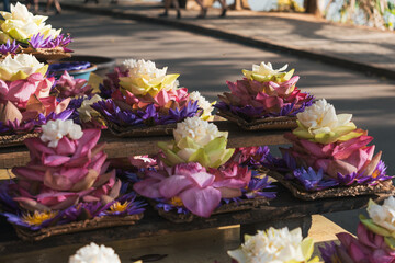 Street vendor selling vibrant arrangements of colorful lotus flowers at a bustling market in Krandy, Sri Lanka, celebrating local culture and tradition