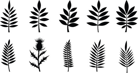 Botanical leaf silhouettes, black plant shapes, nature vector icons, foliage design elements, tropical leaves, minimalist illustration, organic forms, isolated graphics