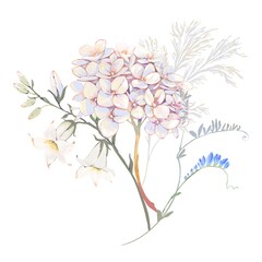 Tender Light Hydrangea Bloom With Meadow Flowers, Elegant Bouquet Watercolor Illustration, Soft Pastel Tones, Isolated On White Background, Perfect For Botanical Design, Wedding Decor And Clipart