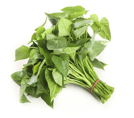 Fresh Sweet Potato Leaves Bundle - Healthy Asian Leafy Green Vegetable on White Background