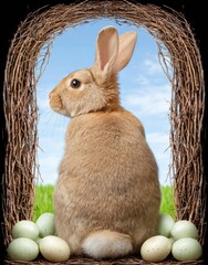 Easter bunny framed by nest, light background