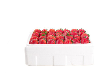 Fresh Red Strawberries in White Container on White Background