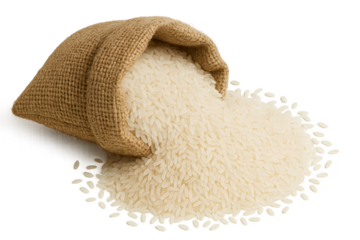bag of rice