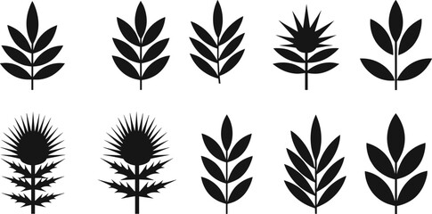 Botanical silhouette, black leaf design, thistle plant vector, nature clipart, floral icon set, foliage illustration, decorative elements, isolated graphic