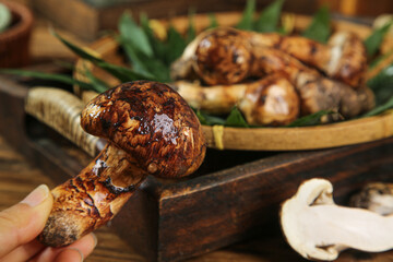 Fresh Wild Matsutake Mushrooms from Yunnan China in Traditional Bamboo Basket