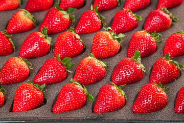 Fresh Red Dandong Strawberries Arranged on Wooden Surface - Premium Quality Fruit Display