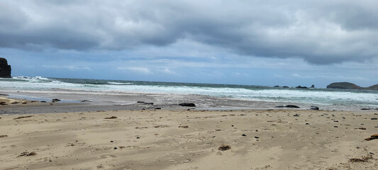 Hike on the Mornington Peninsula