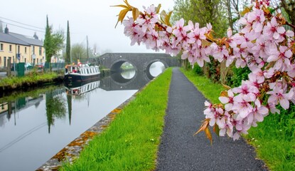 Canal scene with pink blossoms and bridge