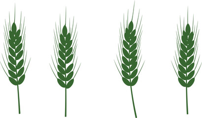 Green wheat stalk illustration, agricultural crop design, organic farming symbol, botanical plant vector, natural food concept, eco friendly agriculture artwork, harvest