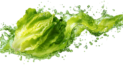 Romaine lettuce leaves in a green liquid splash isolated on transparent background.