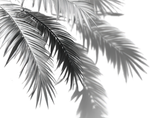 Close-up of stylized palm fronds