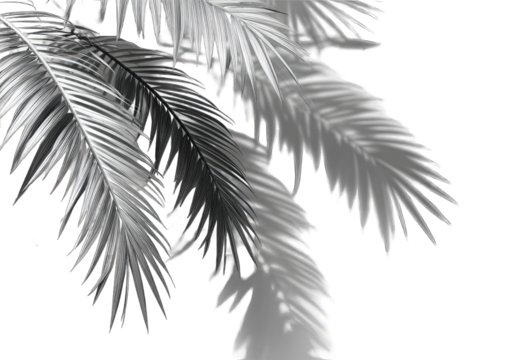 Close-up of stylized palm fronds