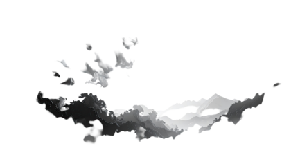 Abstract grayscale landmass