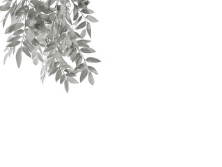 Gray leaf cluster, hanging