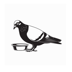 Pigeon Vector Image Standing While Drinking Fresh Water on white background